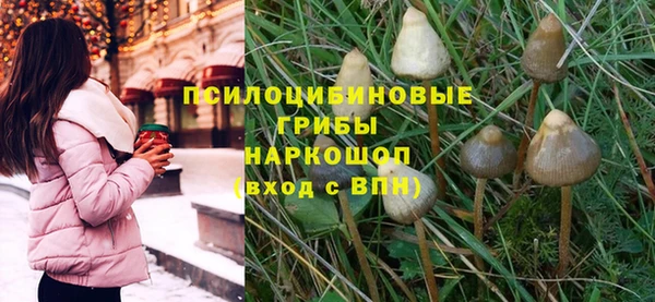 прущие крисы Баксан
