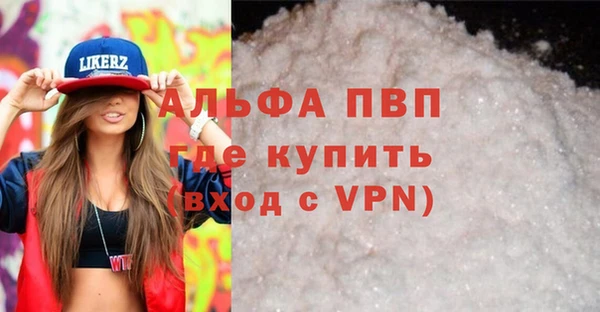 индика Пестово