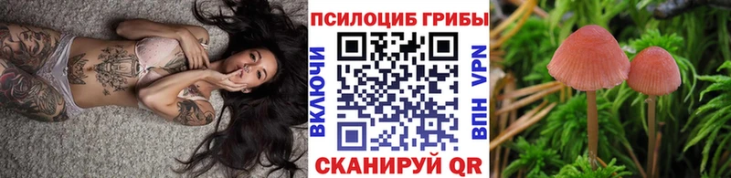 Псилоцибиновые грибы Psilocybine cubensis  Бор 